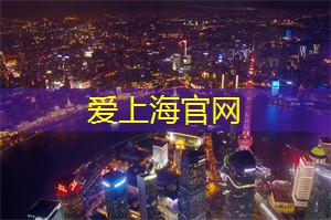 爱上海官网：夜晚购物狂欢：更新鲜潮流品牌在这里！