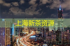 上海新茶工作室：夜上海探险之旅，发现城市中隐藏的惊喜！