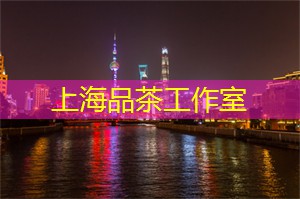 爱上海419论坛：梦幻夜景，绽放夜上海的绚烂光芒！